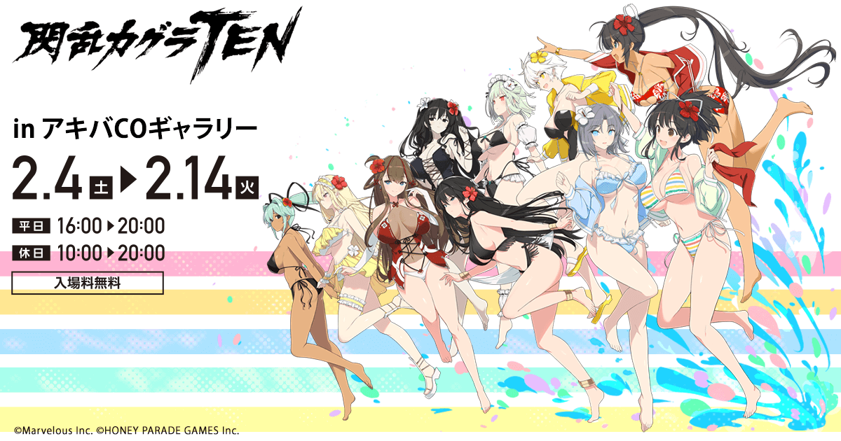 閃乱カグラ シノビマスター 公式画集 ビジュアルコレクション 閃乱カグラTEN Amazon.co.jp: 閃乱カグラ 閃乱カグラTEN シノビマスター 公式