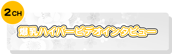 2CH 爆乳ハイパービデオインタビュー