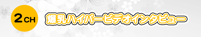 2CH 爆乳ハイパービデオインタビュー