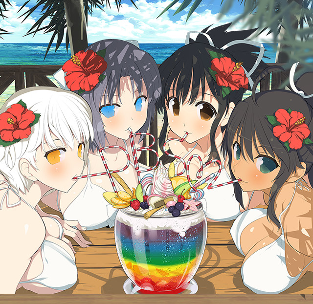 【非売品】閃乱カグラ ピーチ ビーチ スプラッシュ 八重樫南 B2 ポスター