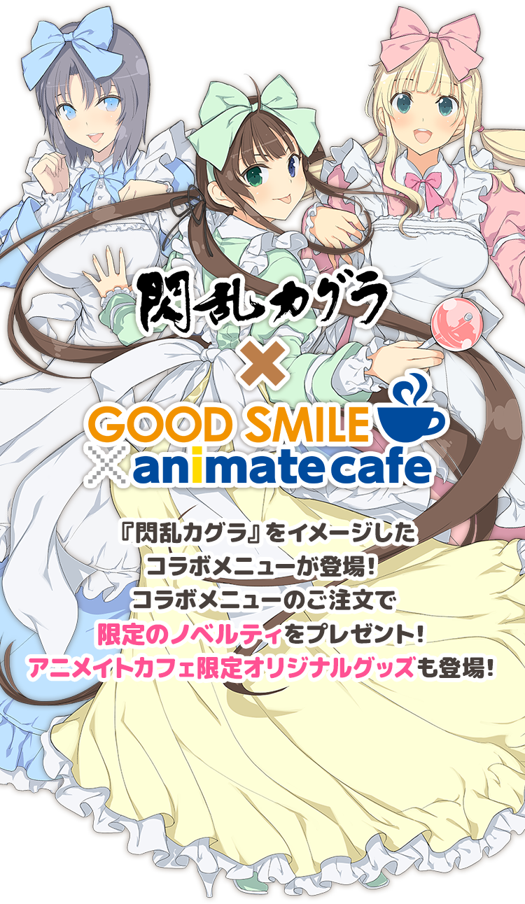 閃乱カグラ × animate cafe