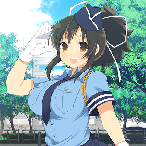 閃乱カグラ　シノマス　オフィシャルビジュアルコレクション シノビマスター 閃乱カグラ NEW LINK_アクリルフィギュア 鴇(WD